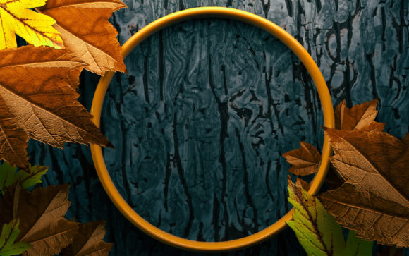 Blank Space Hello Autumn Leaf: A Closer Look at Its Place in Seasonal Design Resources